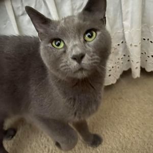 Meet your Posher, Divya